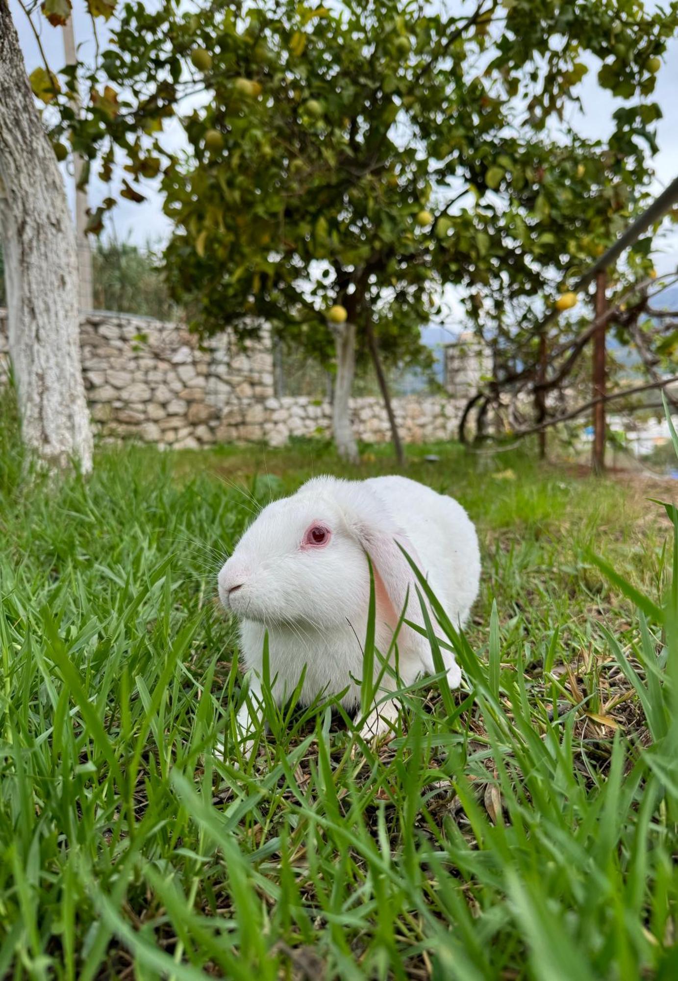 Villa Bodini Himara Kültér fotó
